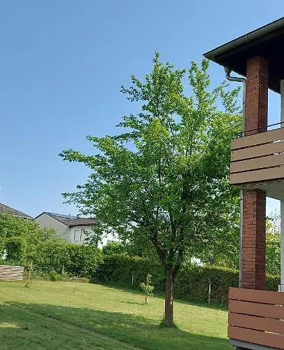 Treysa * 施瓦姆施塔特